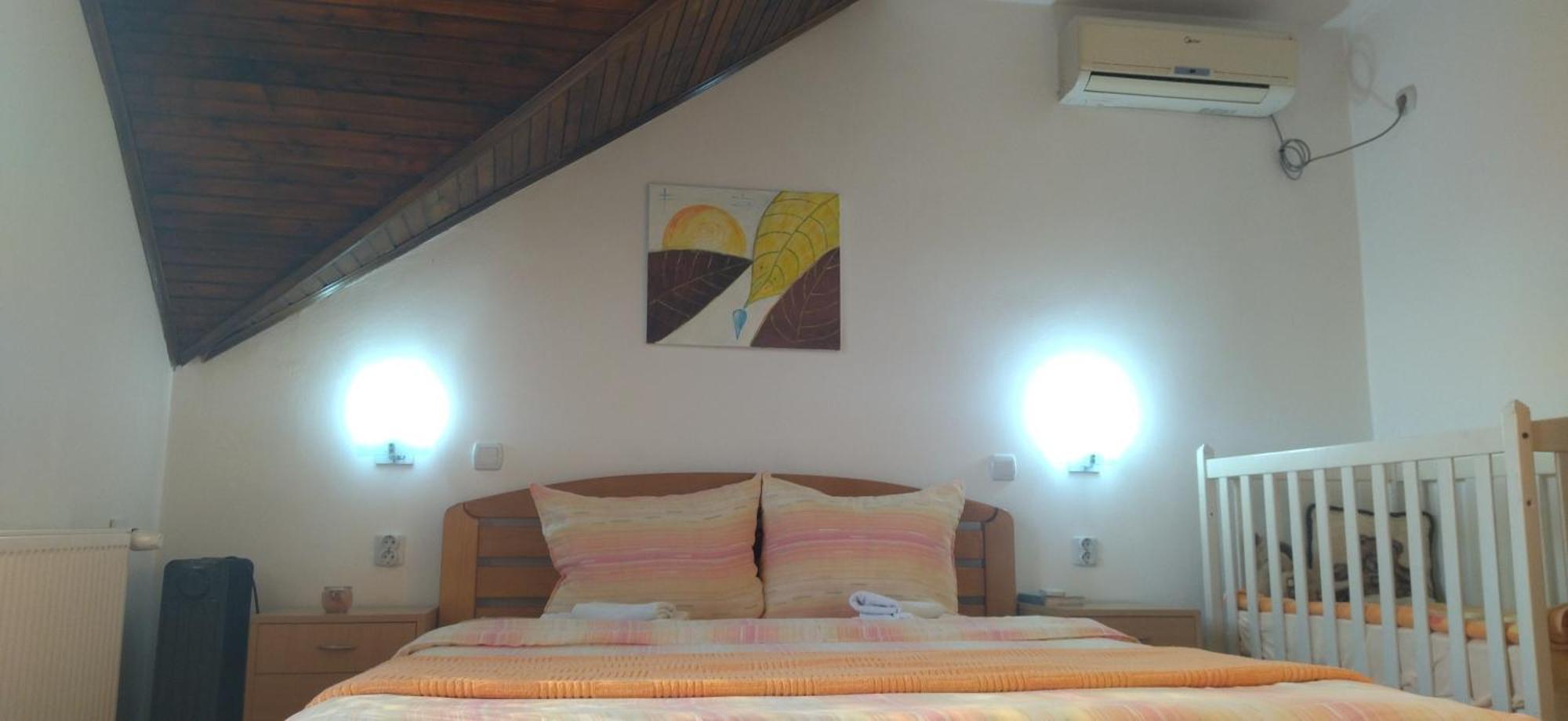 Vila Lenka Sokobanja Rom bilde