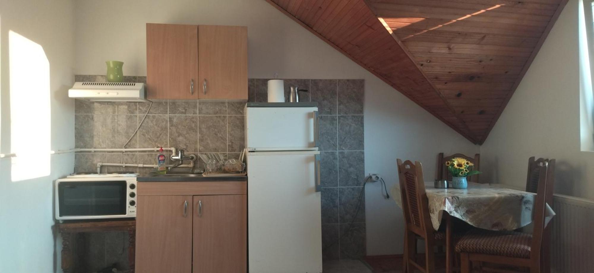 Vila Lenka Sokobanja Rom bilde