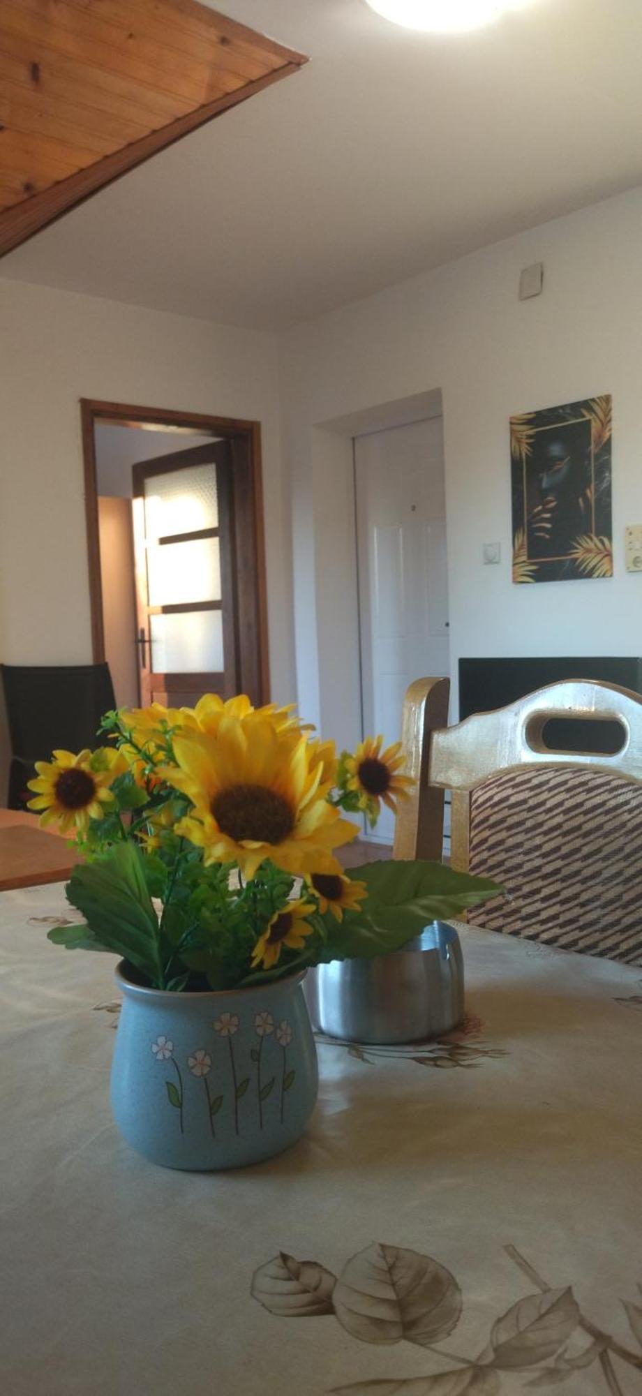 Vila Lenka Sokobanja Rom bilde