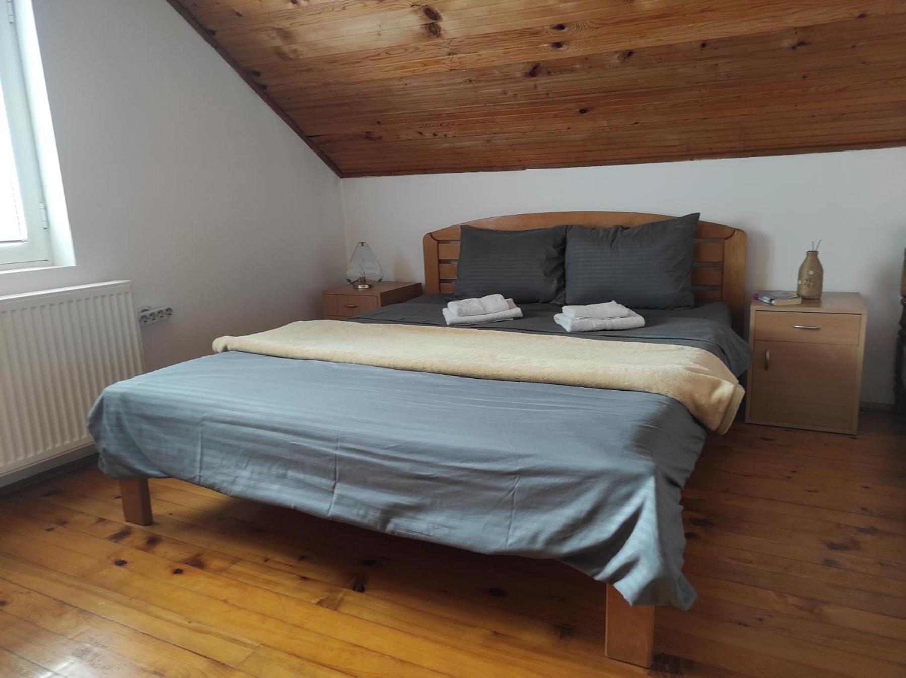 Vila Lenka Sokobanja Rom bilde